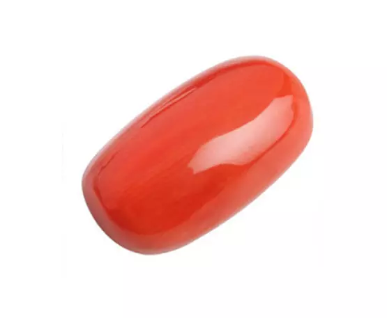 Red Coral